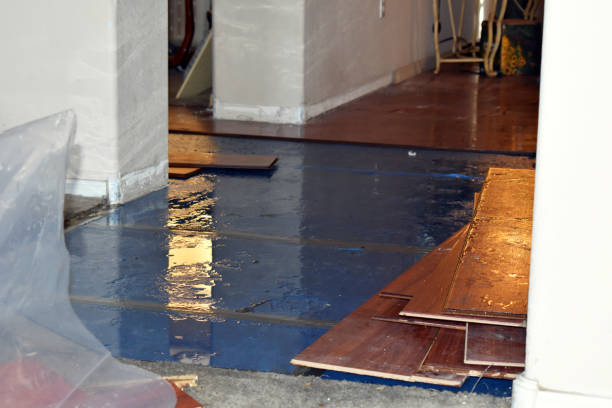 Professional Basement Flood Cleanup technician working in Island Park, NY